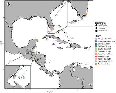 Meta-Analysis Reveals Reduced Coral Calcification Under Projected Ocean Warming but Not Under Acidification Across the Caribbean Sea